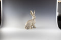 Silver plate hare