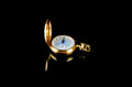 Victorian 14K gold ladies pocket watch by Elgin