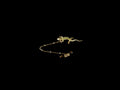 Antique 18ct Gold, Ruby, Demantoid Garnet and Half Pearl Lizard Brooch, Circa 1890