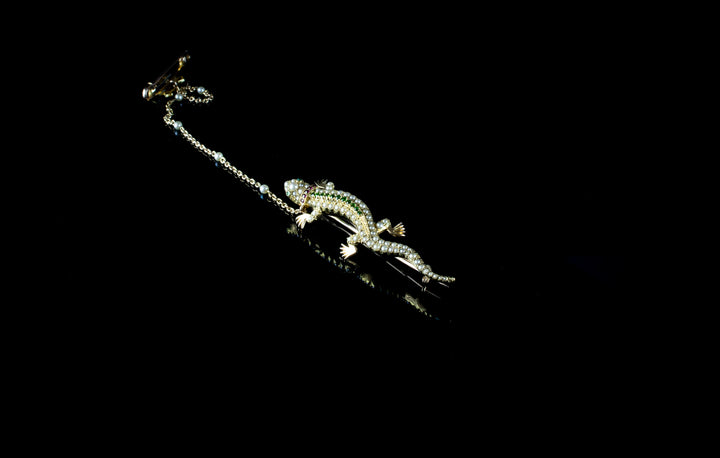 Antique 18ct Gold, Ruby, Demantoid Garnet and Half Pearl Lizard Brooch, Circa 1890
