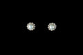 18ct White Gold Pearl and Diamond Cluster Stud Earrings