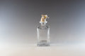 Silver Plated Grouse Head Spirit Decanter