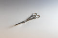Silver grape scissors