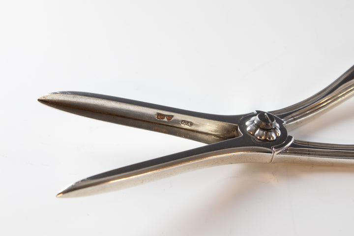 Silver grape scissors