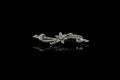 Antique 18ct White Gold Floral Diamond Brooch