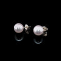18ct Yellow Gold AAA Akoya Pearl Earrings, 9-9.5mm